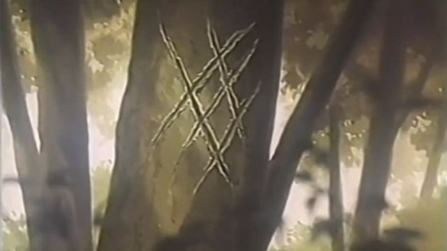 Охотник х Охотник: Пилотная серия