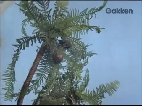 Белый слон