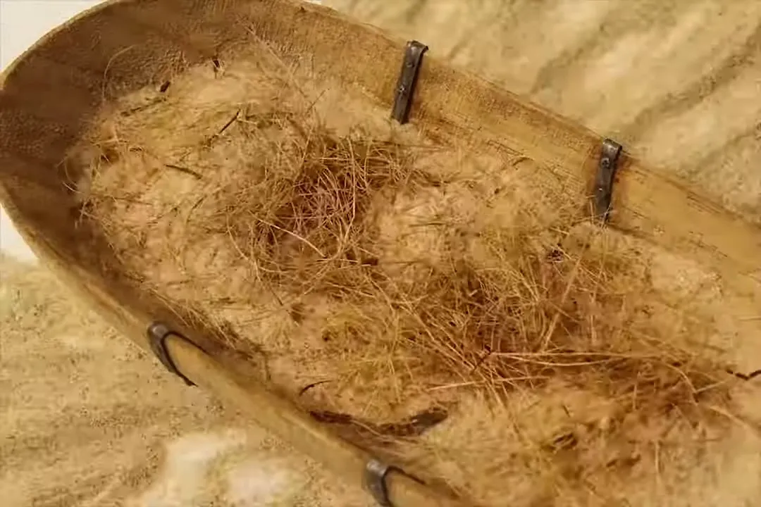 Дикий кабанчик