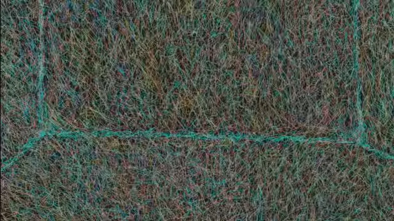 Цветовой шум
