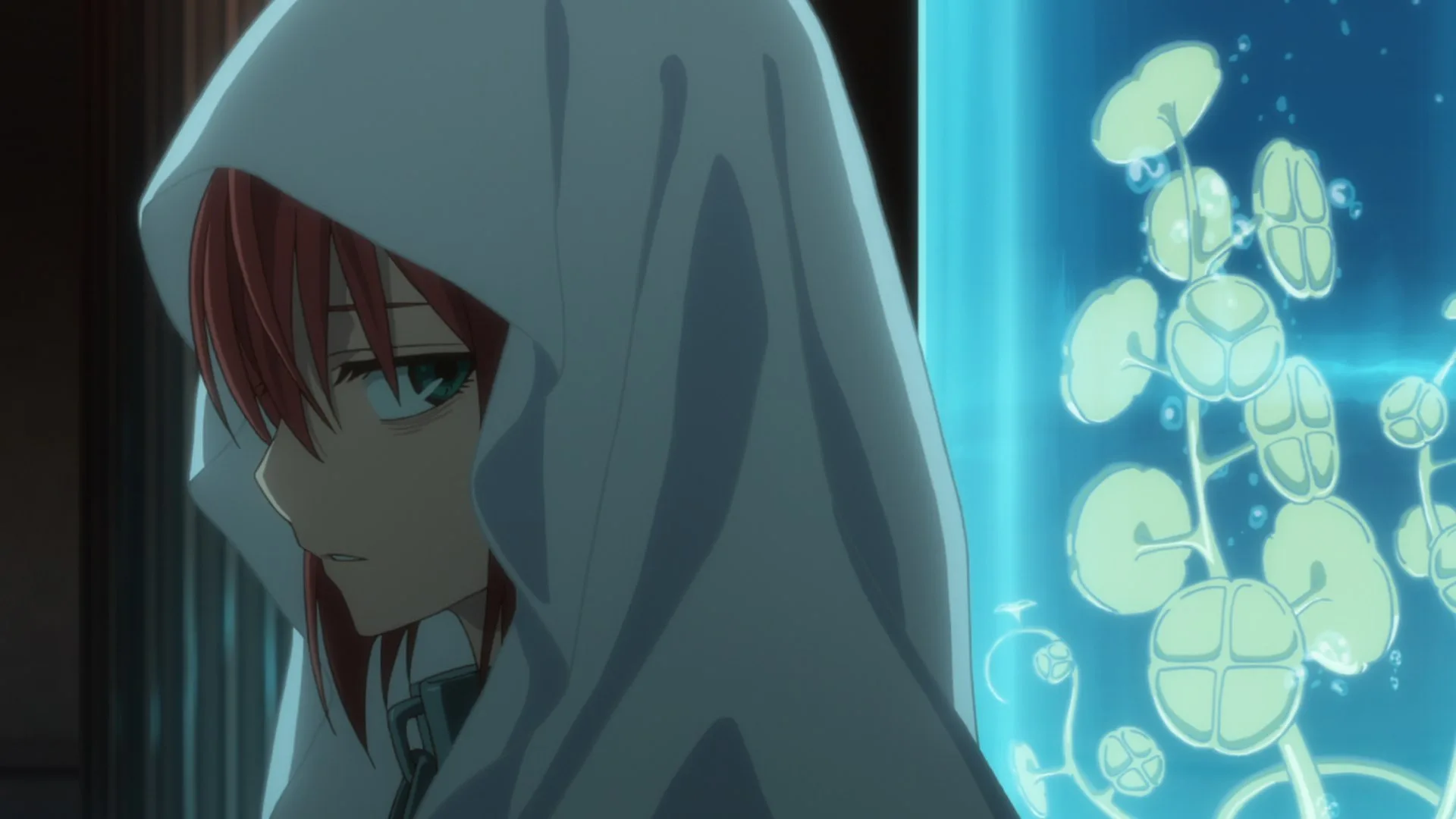 Невеста чародея