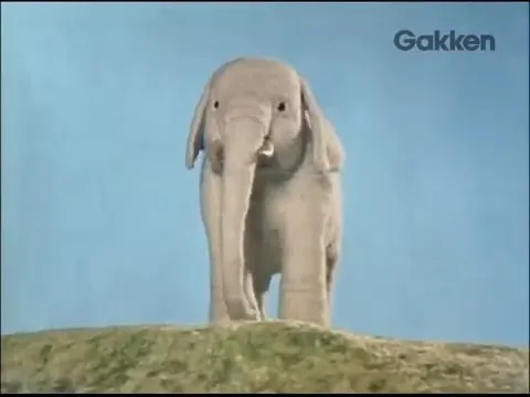 Белый слон