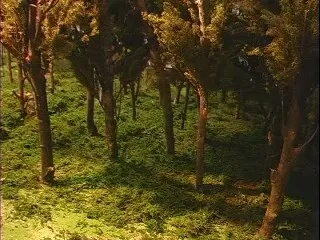 Небесный цвет, цветочный цвет