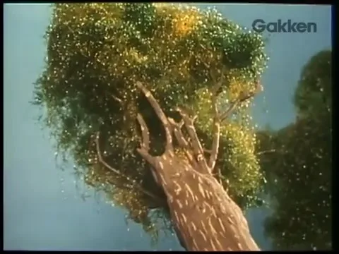 Бременские музыканты