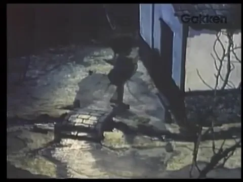Виолончелист Госю