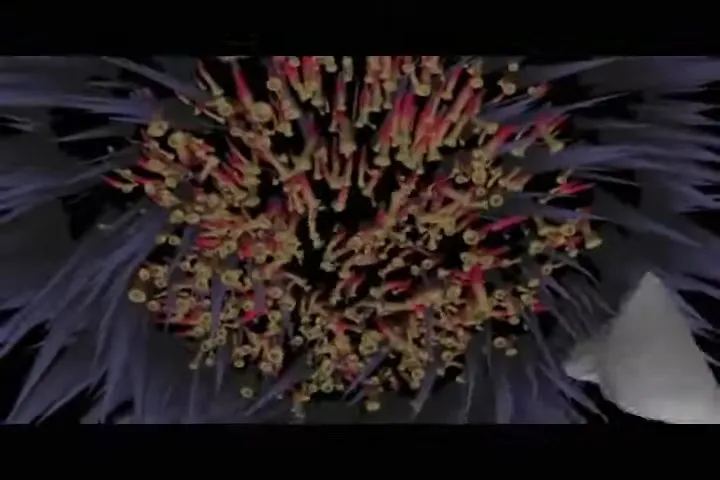 Волнующиеся здания