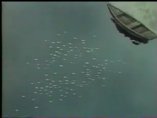 Пика-Дон