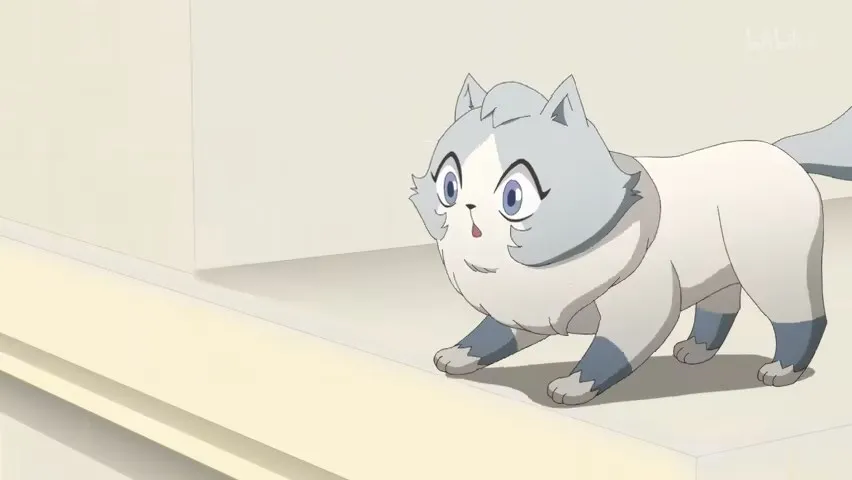 Кот первым протягивает лапу!