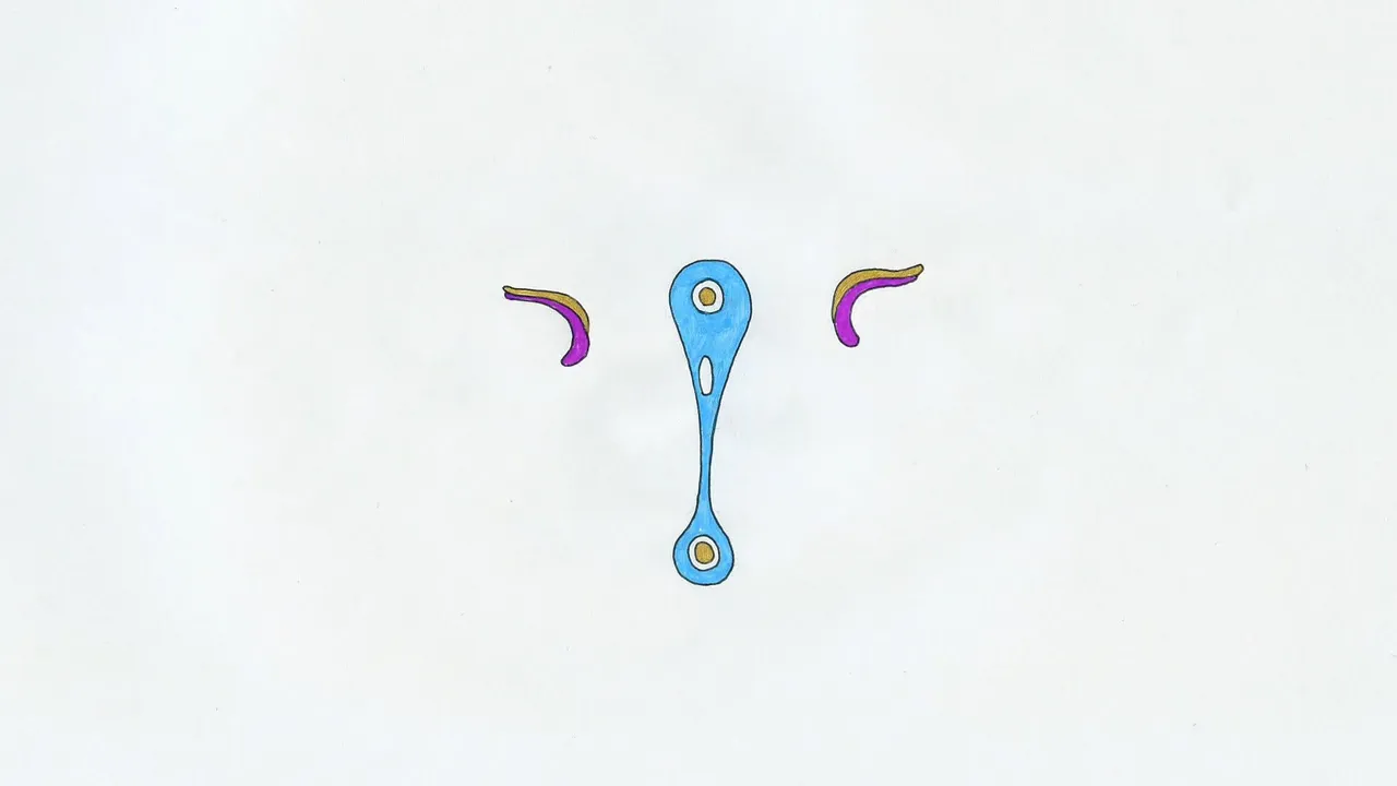 Чудо