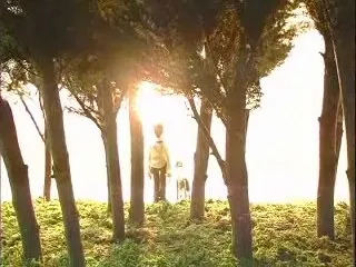 Небесный цвет, цветочный цвет