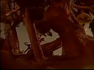 Воспоминания об охоте