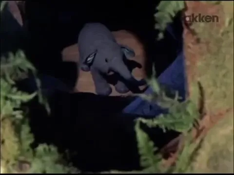 Белый слон