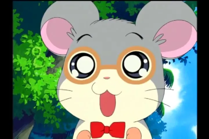 Tottoko Hamtarou wa Ham Ham Paradise! Kazu Katachi Chie
