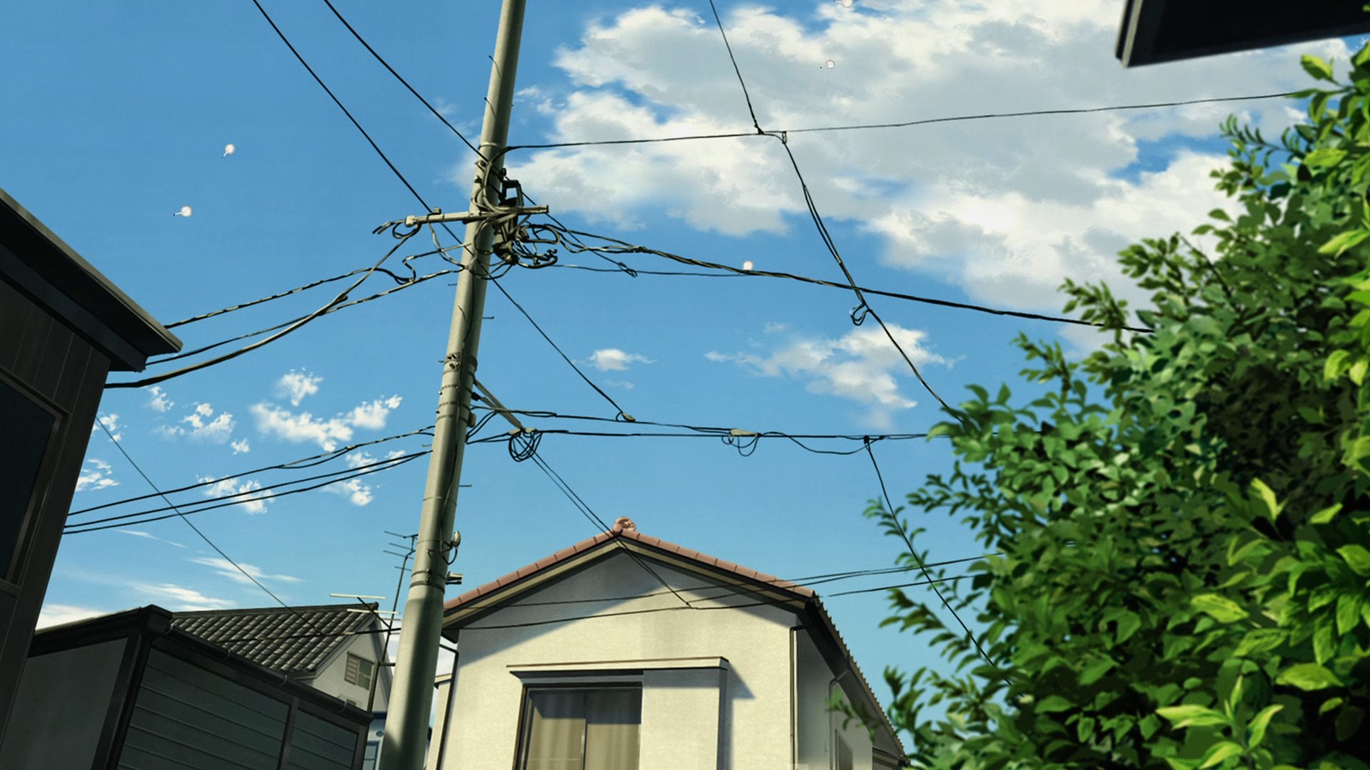 Табакошка