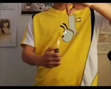 Куда бежит кролик?