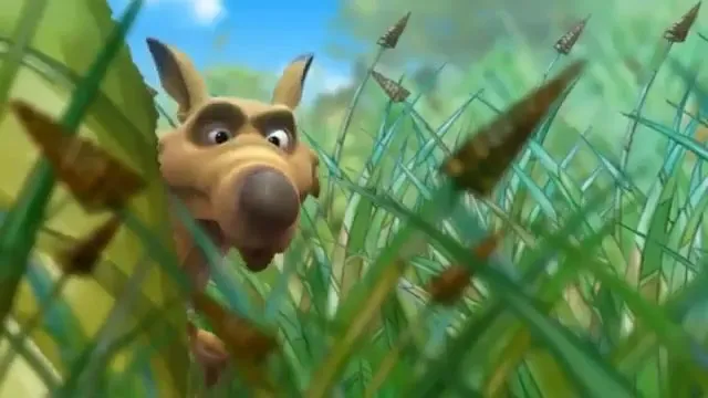 Овцы и волк