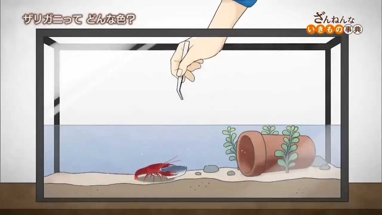 Энциклопедия жалких созданий 2