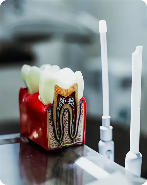 Фото клиники АРК-СТОМ — интерьер, фото 11