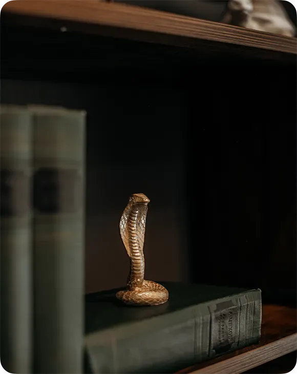 Фото клиники АРК-СТОМ — интерьер, фото 14