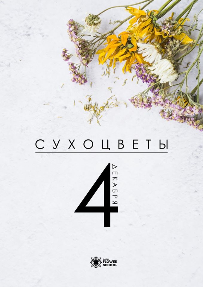 Сухоцветы