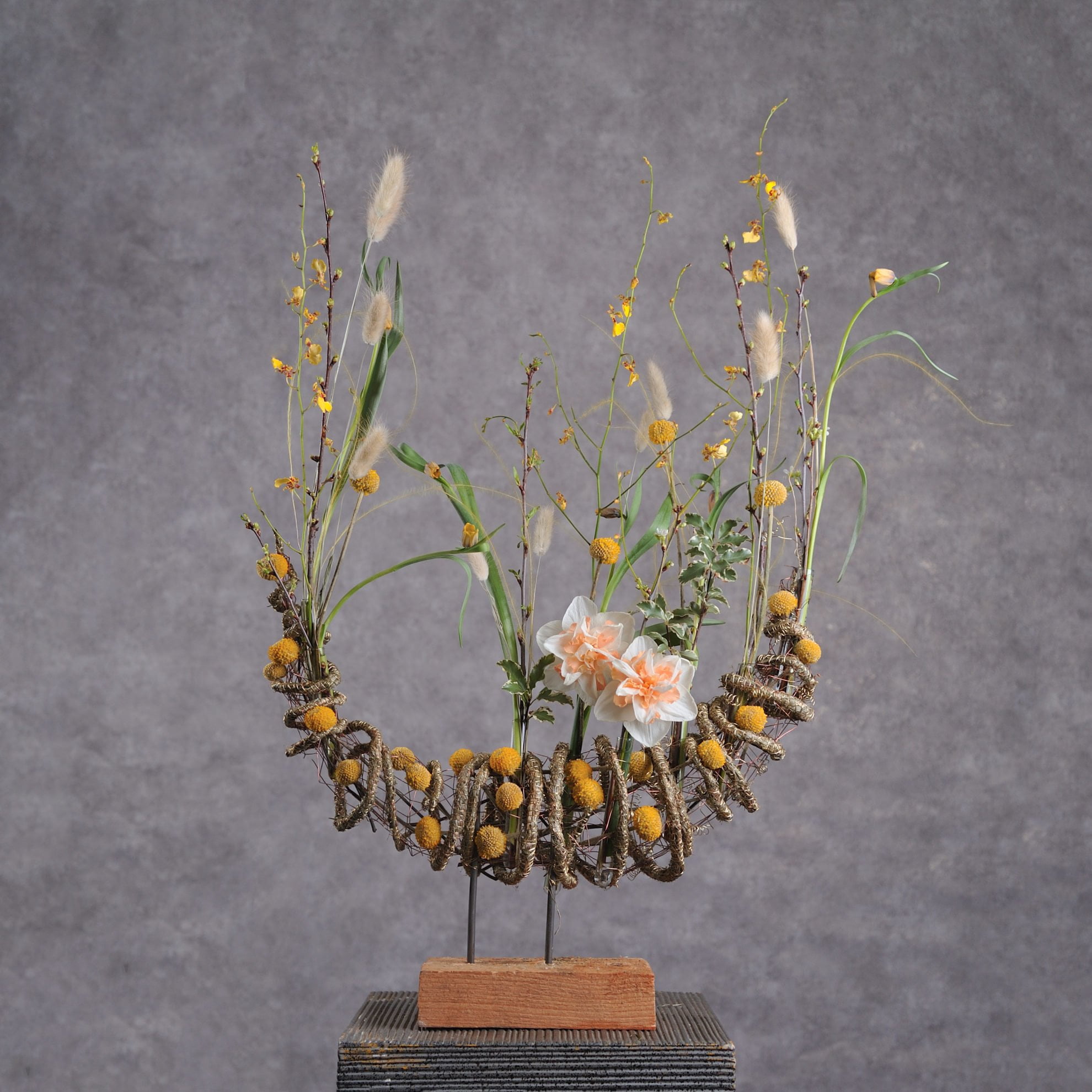 Нарцисс (Narcissus)