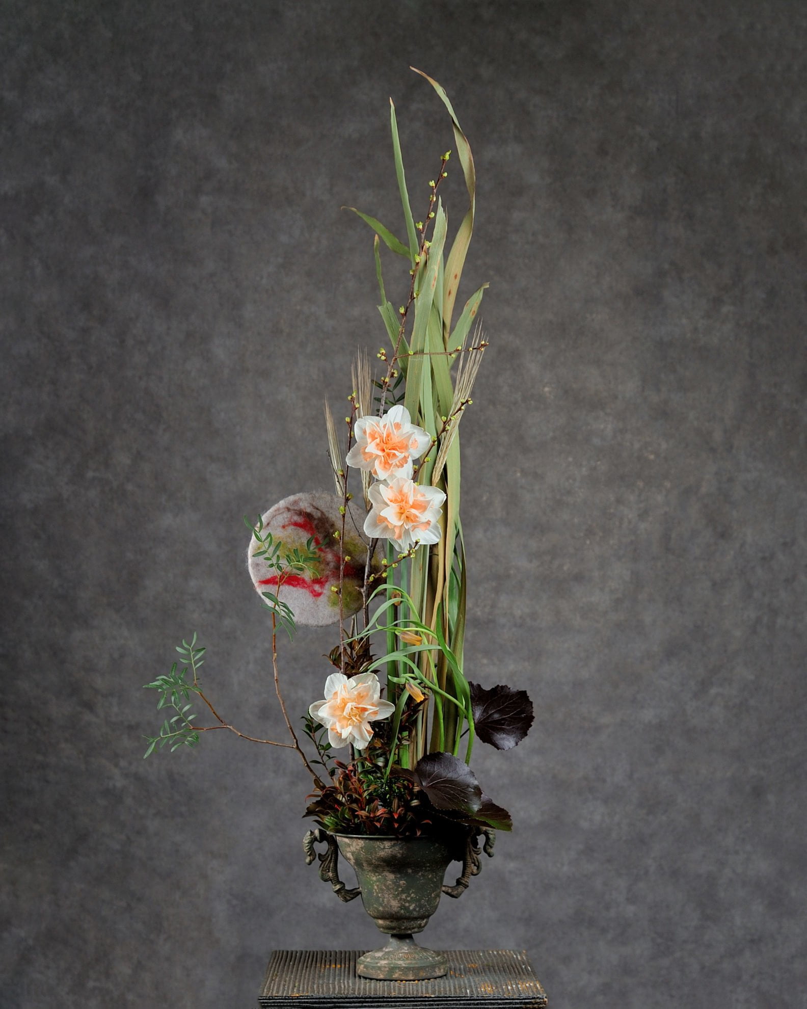 Нарцисс (Narcissus)