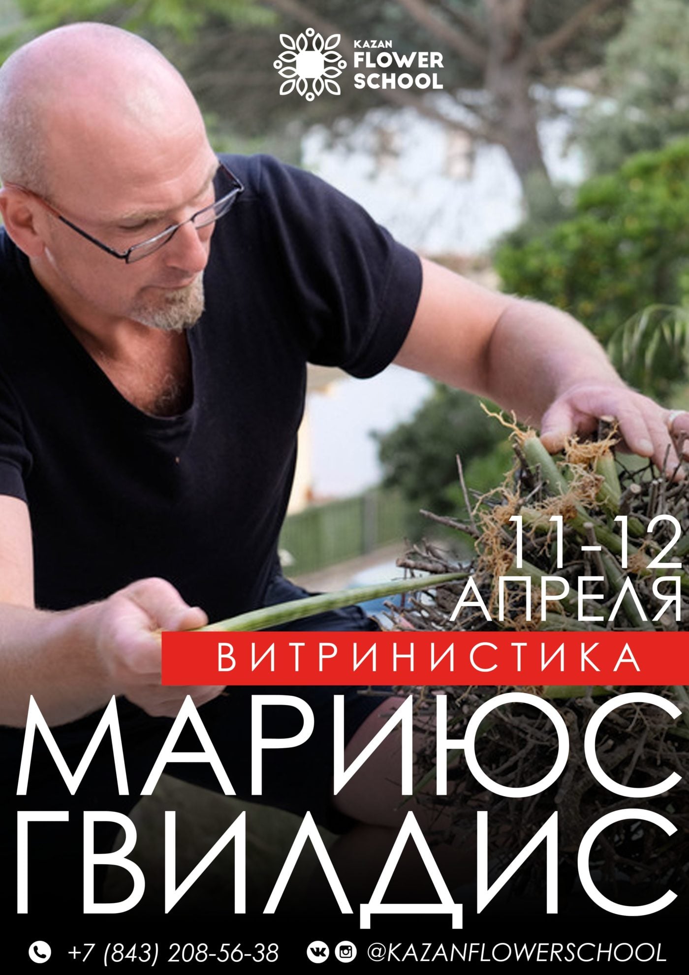 Витринистика