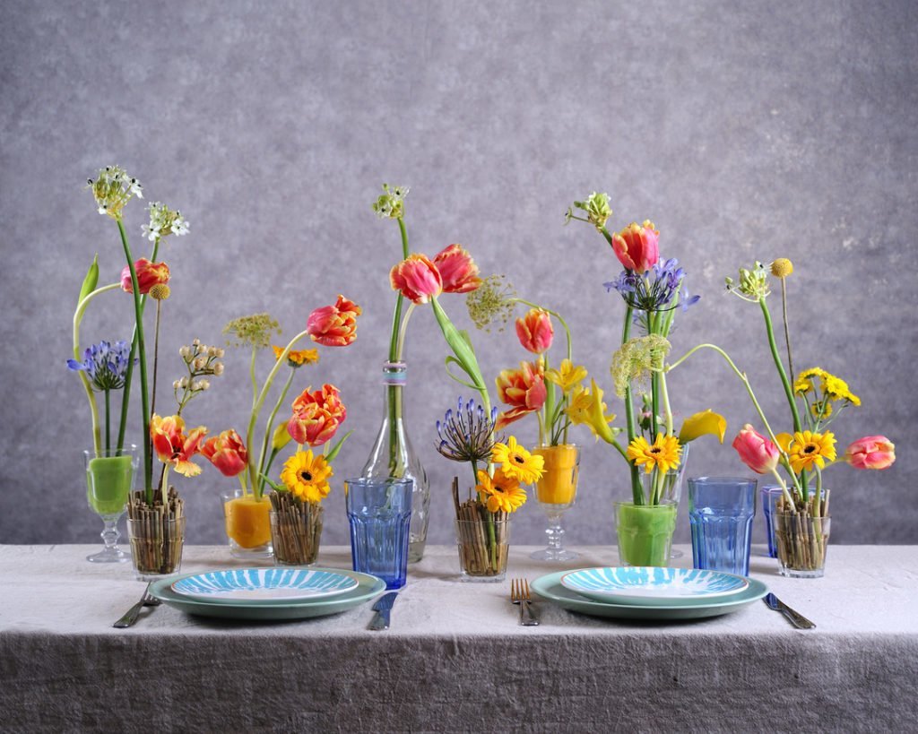 Тюльпан (Tulip)