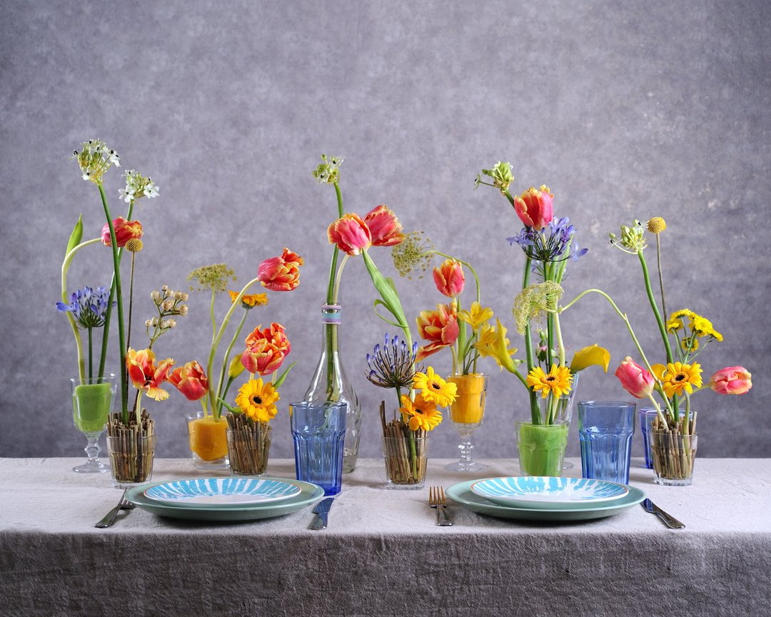 Тюльпан (Tulip)