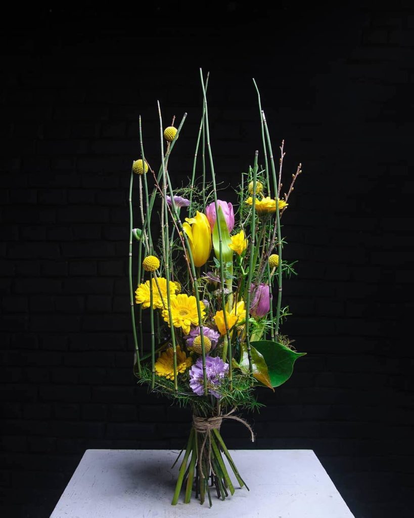 Тюльпан (Tulip)