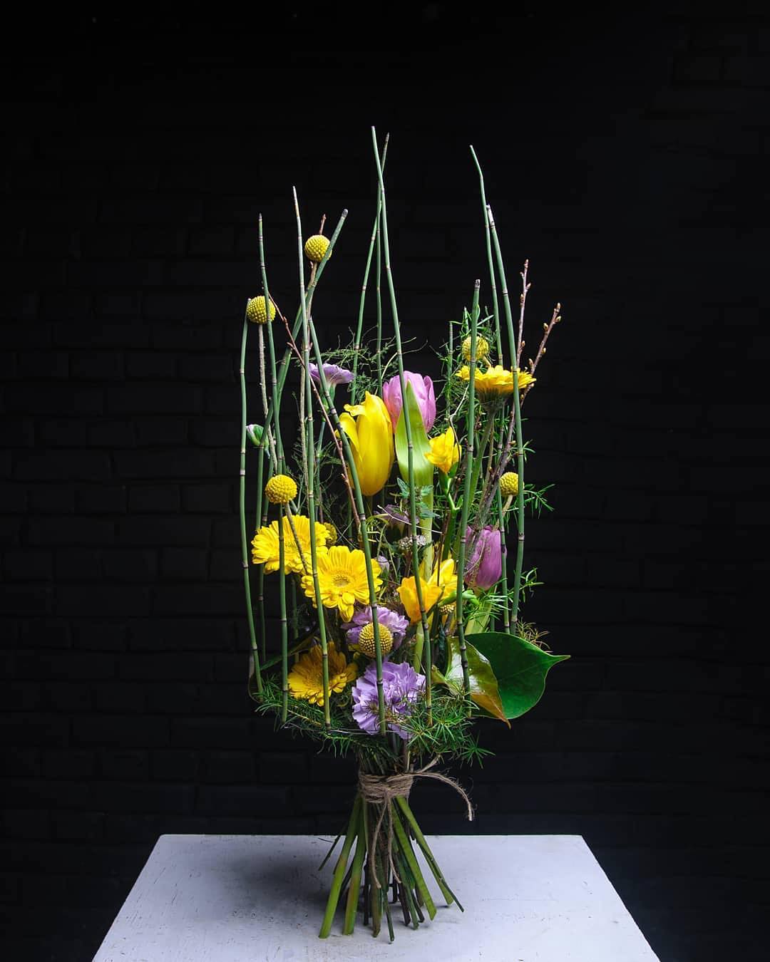 Тюльпан (Tulip)