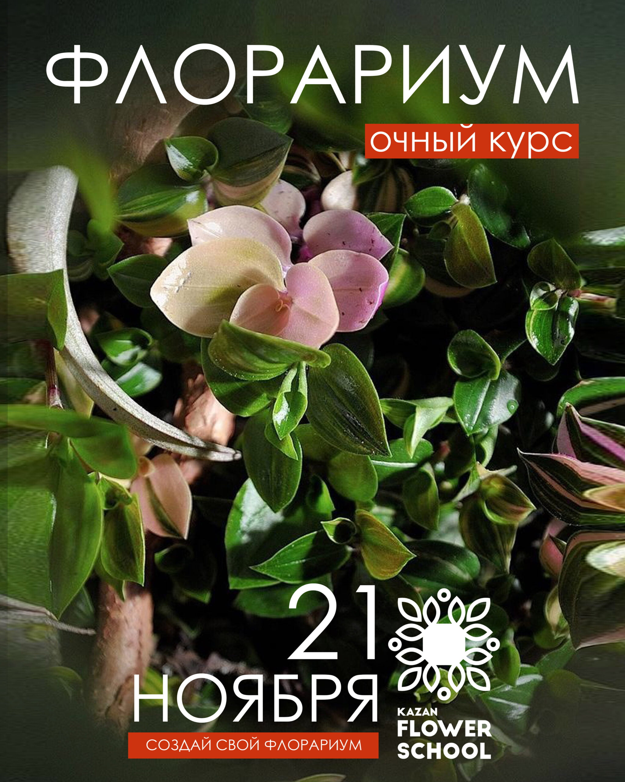 Мк Флорариум Казань