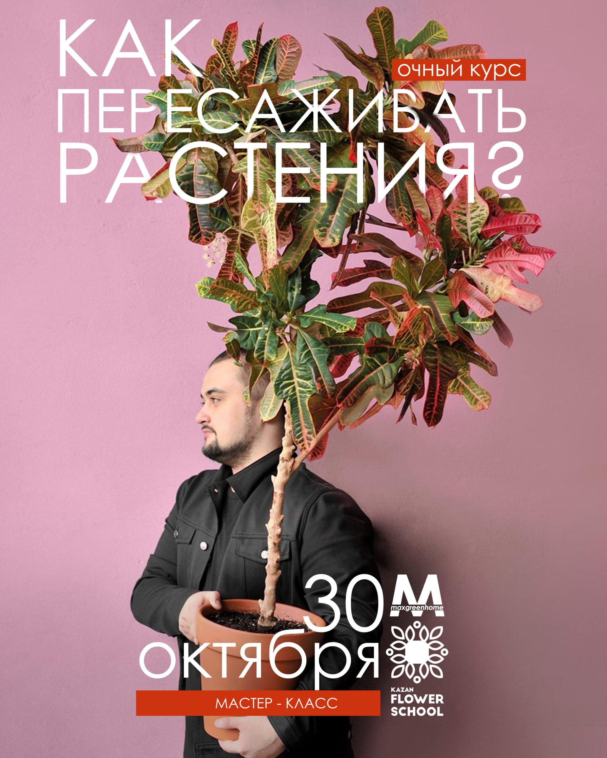 Как пересаживать растения? Мастер – класс!