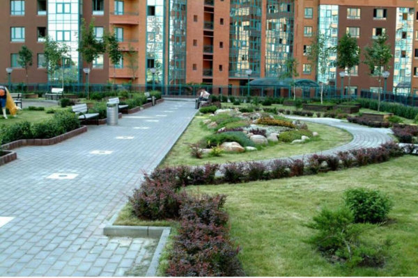 image (1)