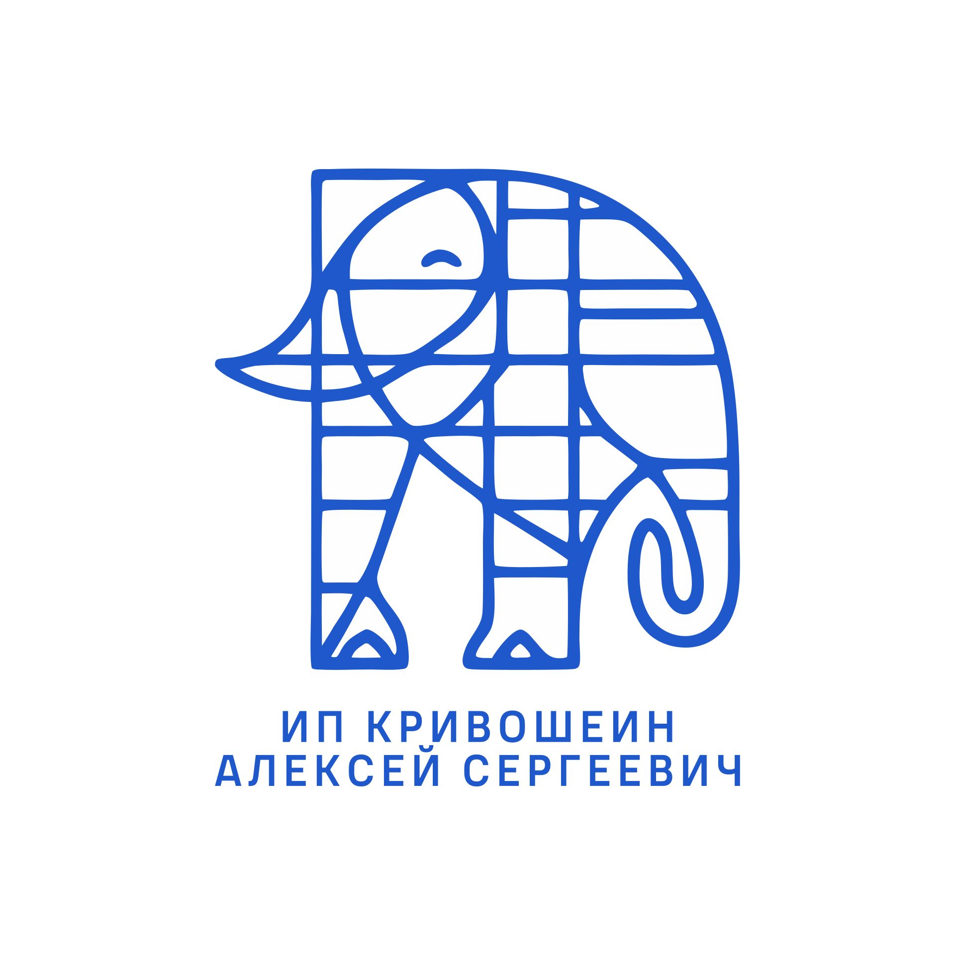 Логотип Dr. Slon