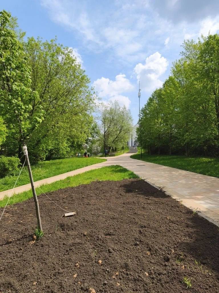Тротуар из качественной серой плитки около проезжей части