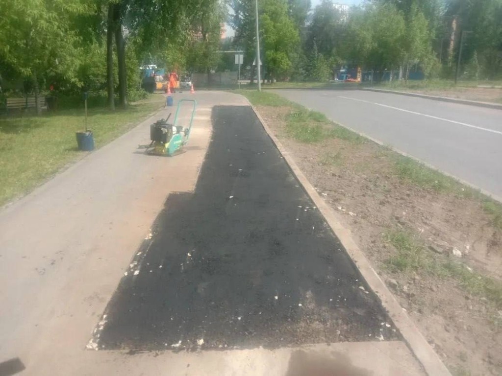 Высадка деревьев и благоустройство территории парка