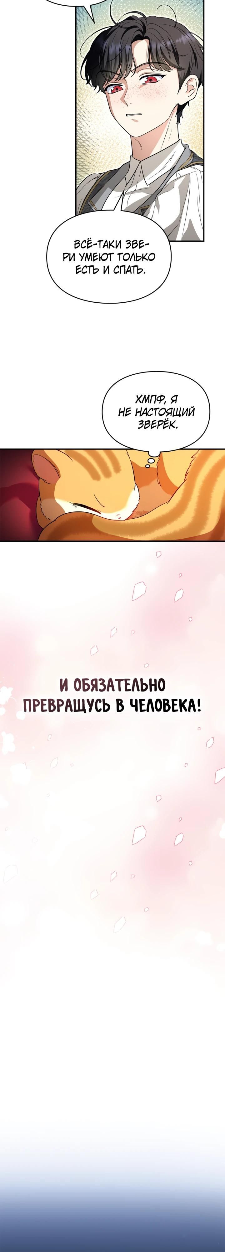 Глава 1 - страница 22