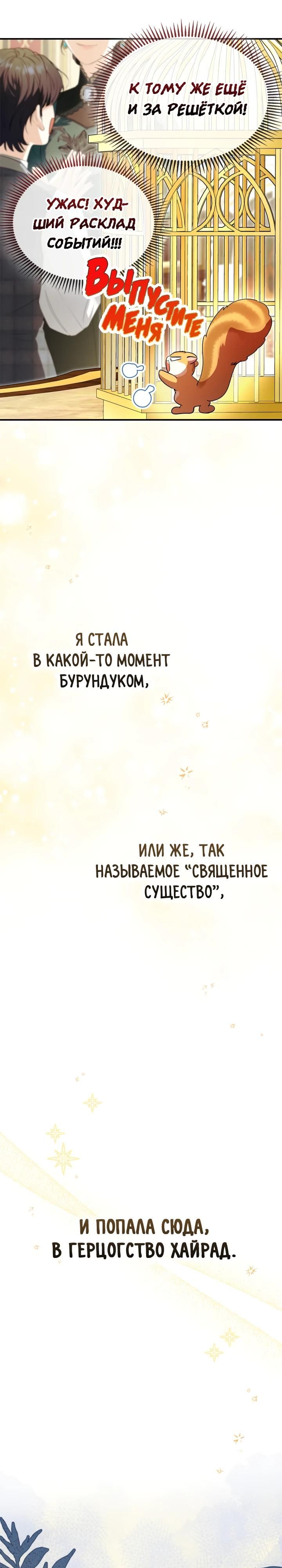 Глава 1 - страница 5