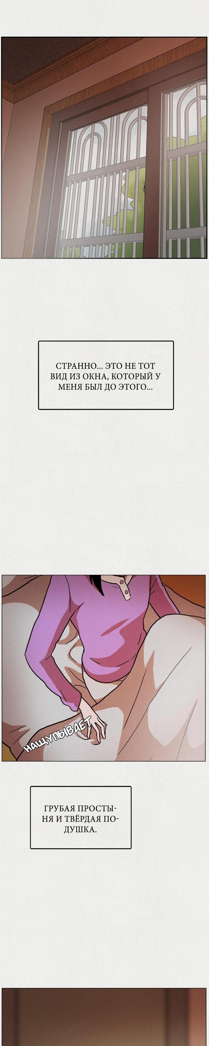 Глава 1 - страница 5