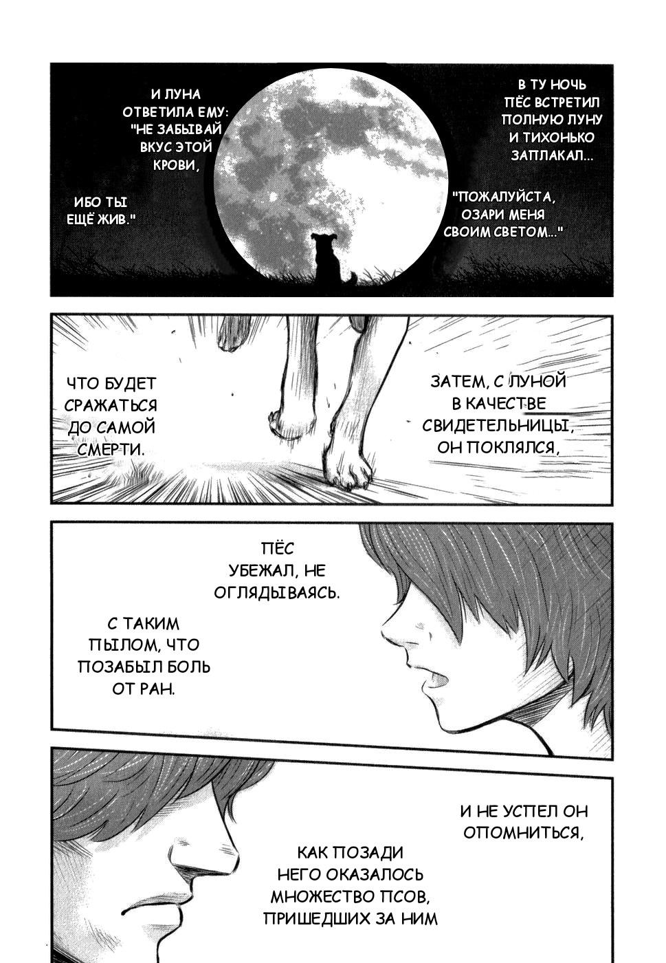 Глава 3: Бродячий пёс - страница 26