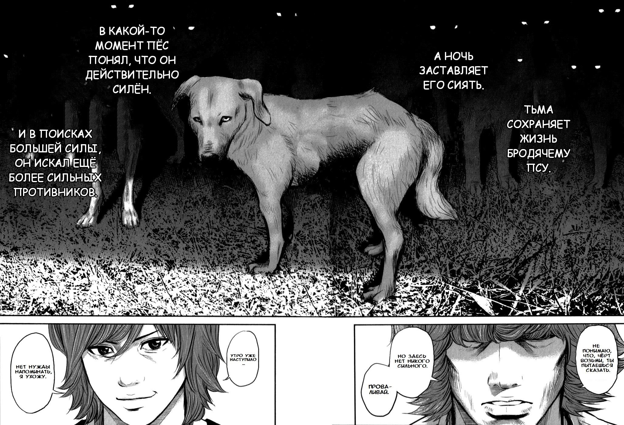 Глава 3: Бродячий пёс - страница 27