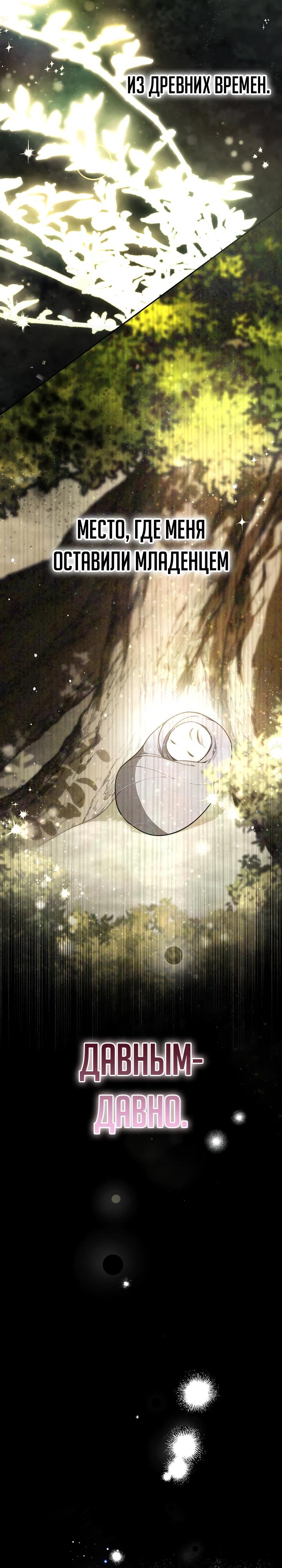 Глава 1 - страница 22