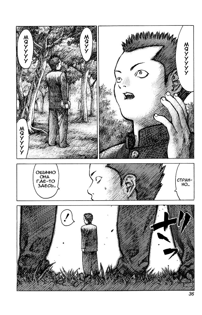 Глава 77: Дни нашей юности. Часть 2 - страница 37