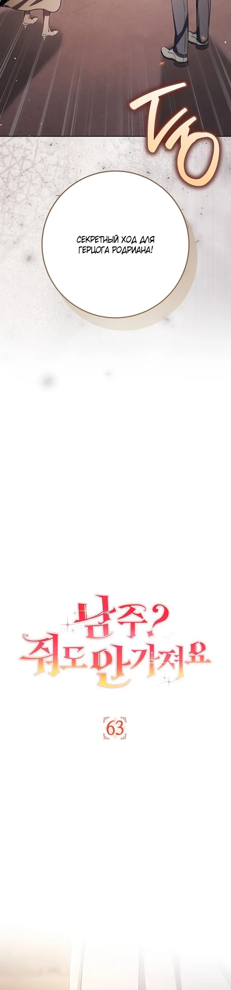 Глава 63 - страница 15