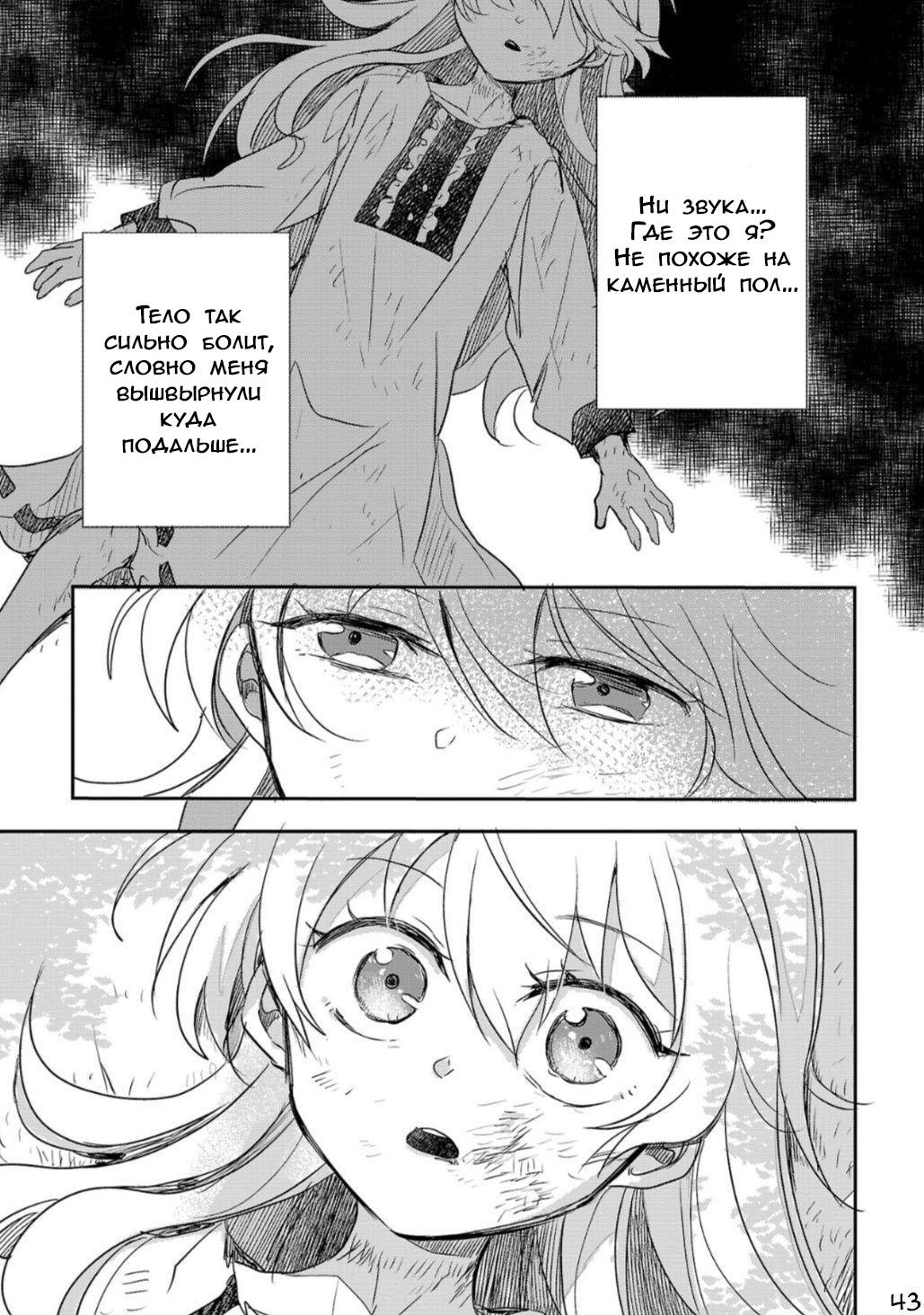 Глава 1 - страница 43