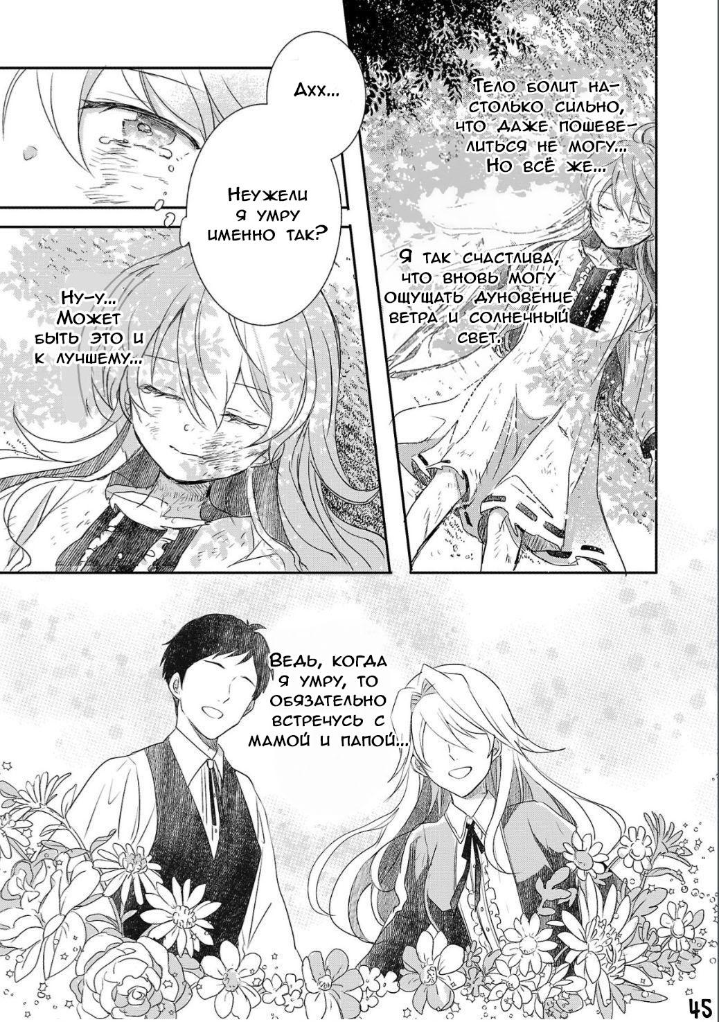 Глава 1 - страница 45