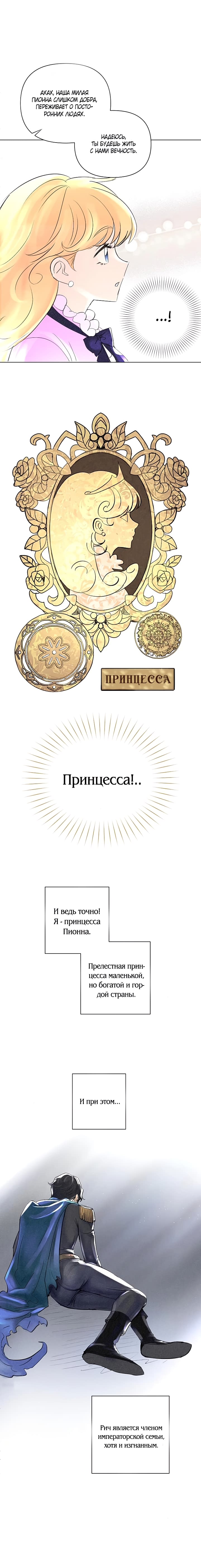 Глава 1 - страница 17