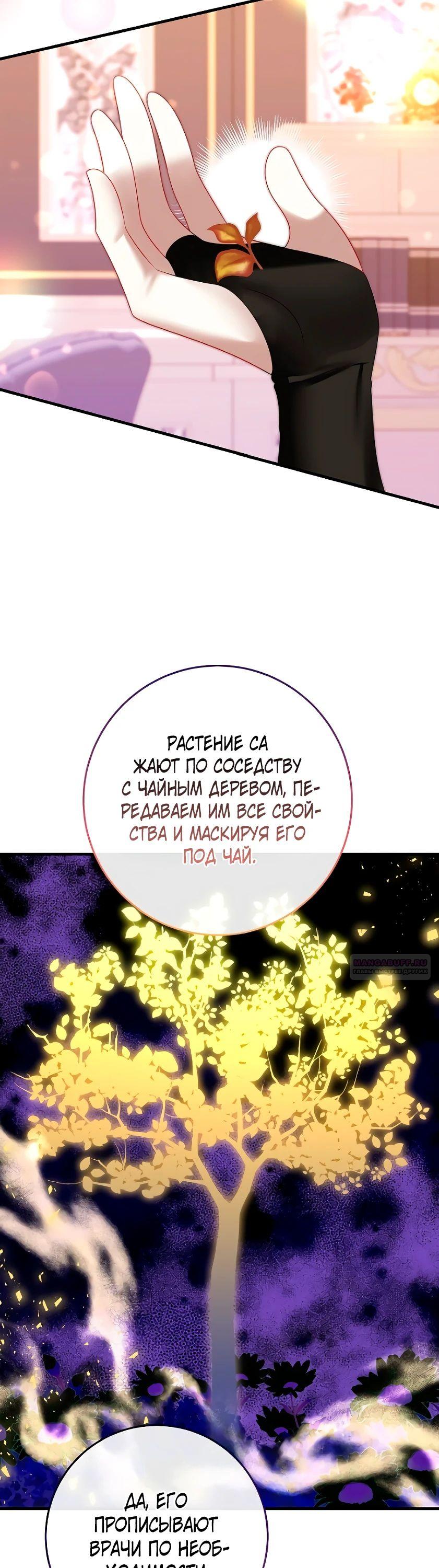 Глава 21 - страница 24