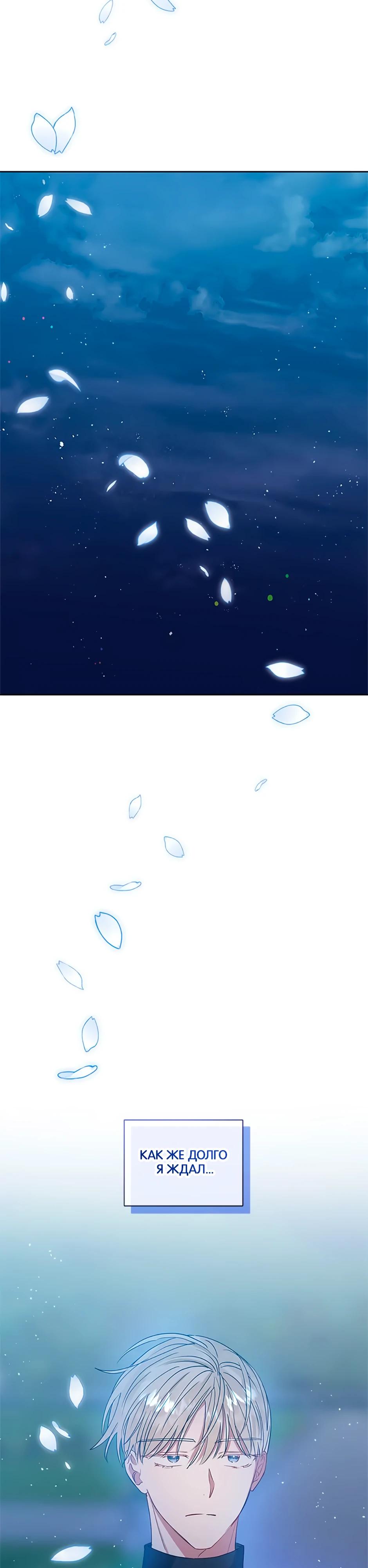 Глава 41 - страница 27